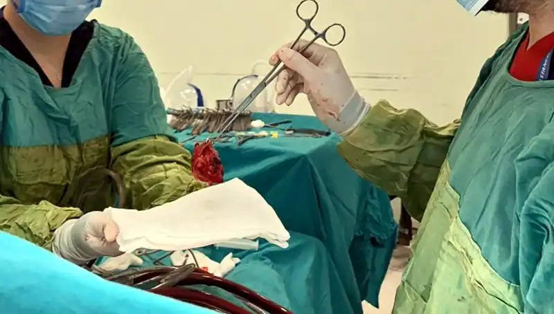 Kalp Kapağı Çürüyen Hastanın Ameliyatı: 7 Saatlik Mücadele ve Mucizevi Sonuç