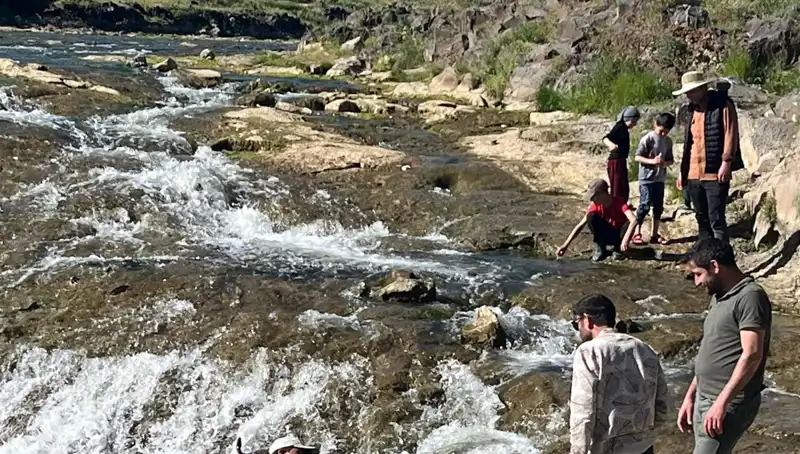İnci Kefalinin Muazzam Göçü, Doğanın Mucizesi Olarak Turistleri Çekiyor