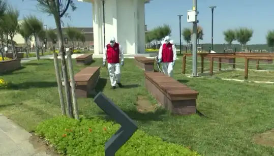 Kene Görülme Sıklığı Artıyor: Halka Açık Yerlerde İlaçlama Başlıyor