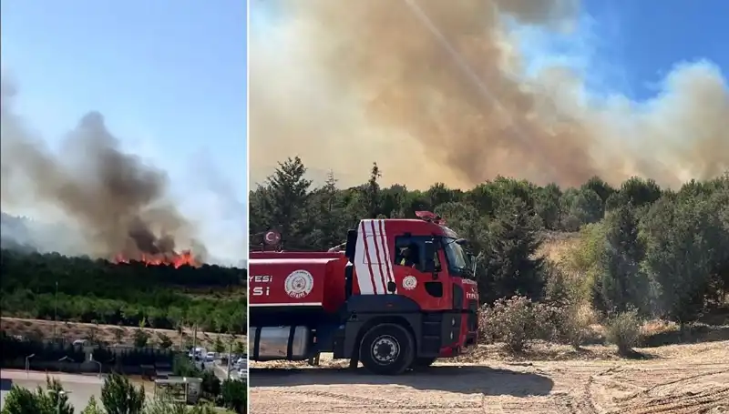 Gebze'de Şiddetli Orman Yangını: Ekipler Zamanla Yarışıyor!