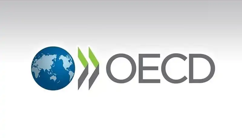 OECD Türkiye'nin Ekonomik Büyüme Tahminlerini Güncelledi: Beklentiler Nasıl Değişti?