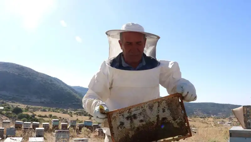 25 Yıl Sonra Mobilya İşi Bıraktı, Şimdi 2 Ton Üretim Yapıyor!