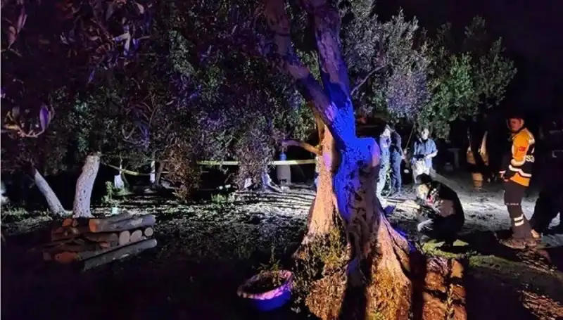 Çiftlikteki Baltalı Vahşet İle İlgili Şok Tutuklama Gerçekleşti