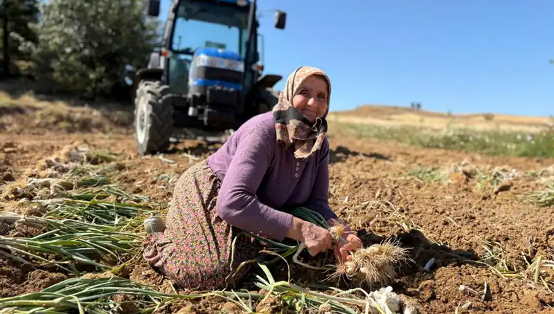 ** Selenyum Zengini Ürünlerle Türkiye, Tarladan Sofraya Yenilik Sunuyor!**