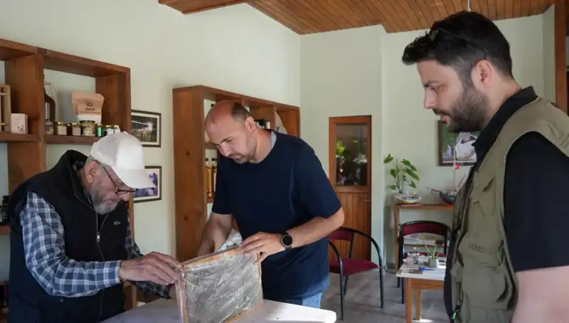 Doctorlar Uyarıyor: 1 Çay Kaşığını Geçmeyin, Şifa da Zehir de Olabilir