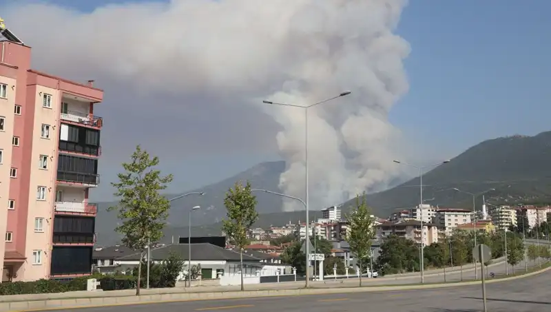 Denizli'de Orman Yangını: Gözaltındaki Şüpheli Sır Perdesini Aralıyor