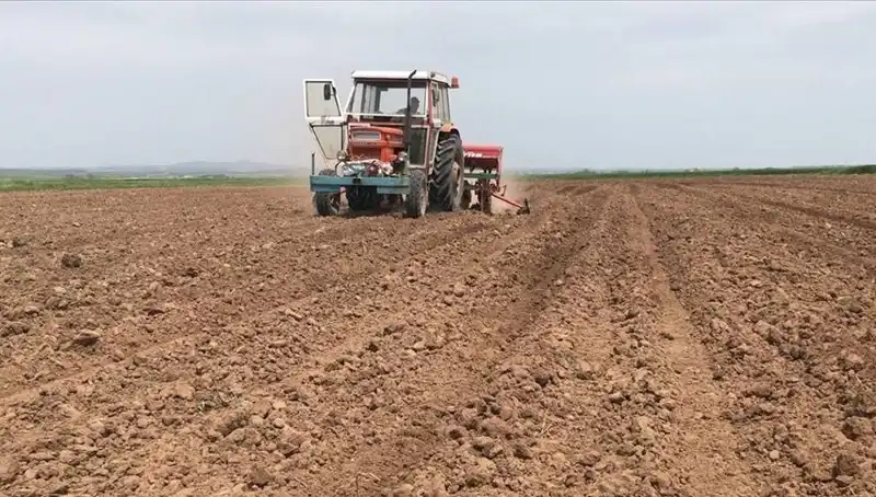 Son 35 Yılın En Kurak Mart Ayı: Yağış Miktarında Büyük Düşüş!