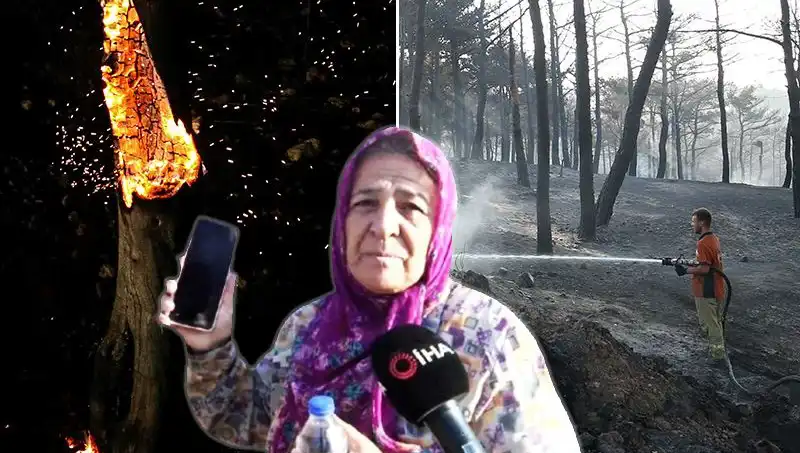 Çanakkale Orman Yangınları Kontrol Altına Alındı: Ama Geride Kalanlar Hala Merak Ediliyor