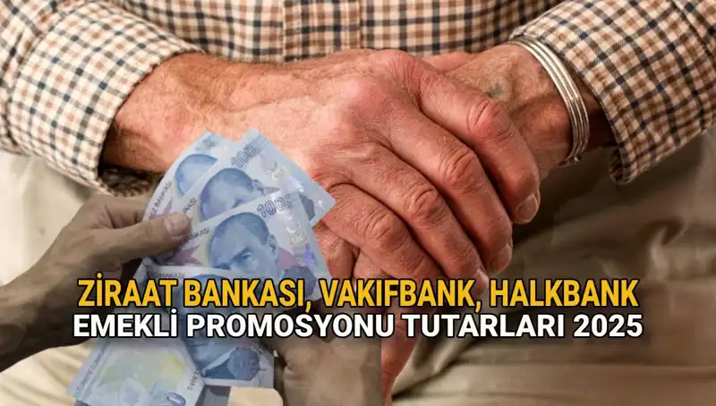 Emeklileri Sevindiren Promosyon Fırsatları: 2025 için Kamu Bankaları Neler Sunuyor?
