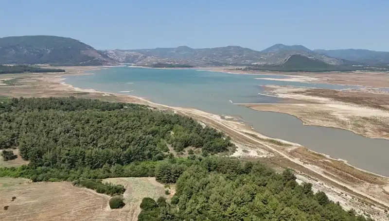 İzmir'de Tehlike Çanları: İstatistikler Korkutuyor!