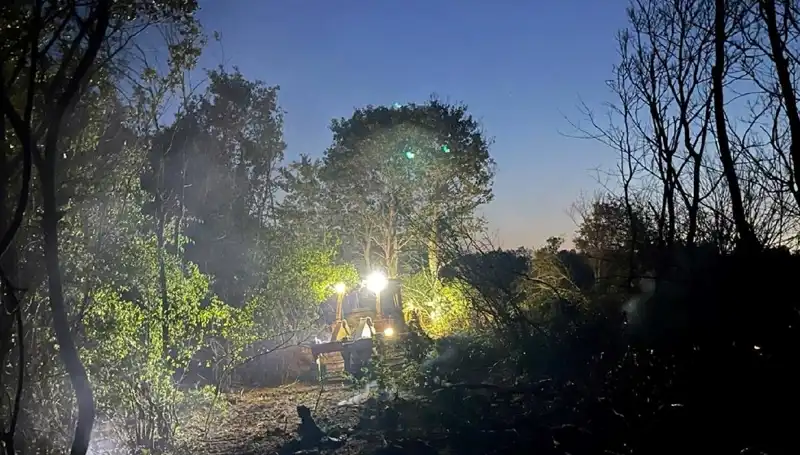 Edirne Orman Yangını Sonunda Kontrol Altına Alındı: İlk Bilgiler