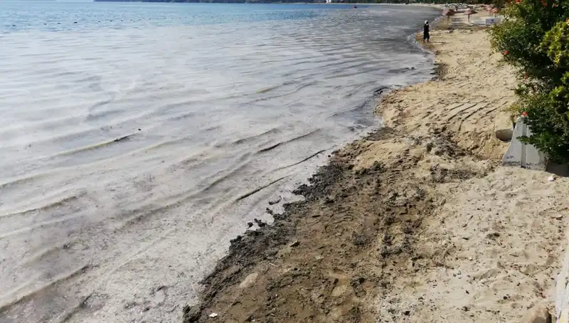 Müsilajla Mücadelede Kritik Adım: 268 İşletme Faaliyetleri Durduruldu