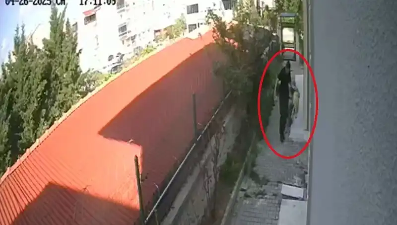 Veteriner Doktor, Sahiplendiği Köpekleri Korkunç Bir Şekilde Öldürdü