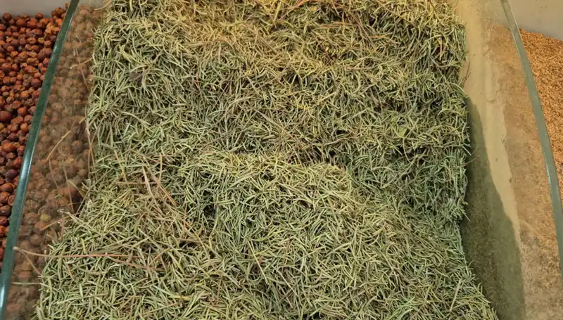 Yaz Sıcaklarında İnternette Satışı Artan Tehlikeli Ürünler