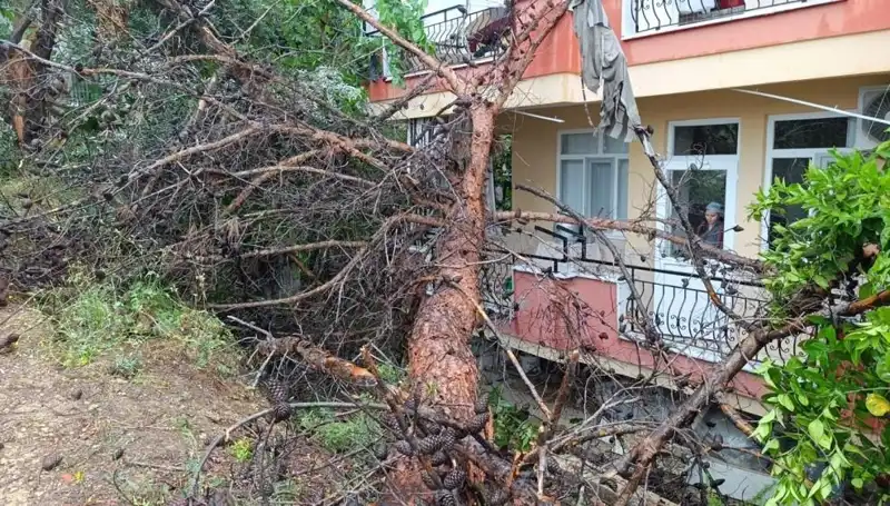 Yağmurun Kurbanı Oldu: Bina Devrildi, Can ve Mal Kaybı Var mı?
